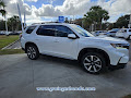 2025 Honda Pilot 2025 HONDA PILOT 2WD TRG W/COLUPG