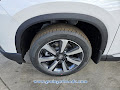 2025 Honda Pilot 2025 HONDA PILOT 2WD TRG W/COLUPG