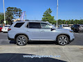 2025 Honda Pilot Elite AWD