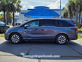 2026 Honda Odyssey EX-L Auto
