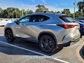 2024 Lexus NX Luxury