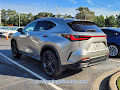 2024 Lexus NX Luxury