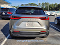 2024 Lexus NX Luxury