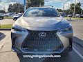 2024 Lexus NX Luxury