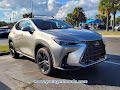2024 Lexus NX Luxury