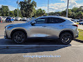 2024 Lexus NX Luxury
