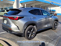 2024 Lexus NX Luxury