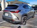 2024 Lexus NX Luxury