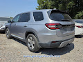 2023 Honda Pilot EX-L 8 Passenger