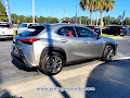 2019 Lexus UX UX 200 F SPORT