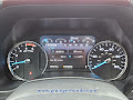 2022 Ford Super Duty F-250 SRW Platinum
