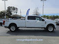 2020 Ford Super Duty F-350 SRW Pickup Platinum
