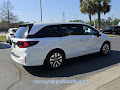 2026 Honda Odyssey EX-L Auto