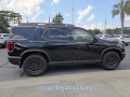 2026 Honda Passport TrailSport Elite Blackout AWD