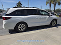 2027 Honda Odyssey EX-L Auto